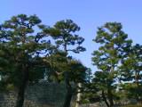 122-2275_IMG.JPG