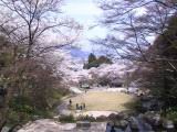 123-2303_IMG.JPG