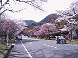 123-2334_IMG.JPG
