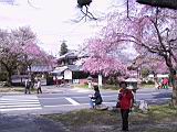123-2337_IMG.JPG