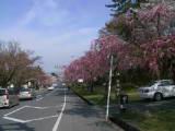 123-2342_IMG.JPG