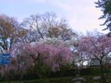 123-2358_IMG.JPG
