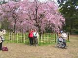 123-2373_IMG.JPG