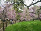 123-2375_IMG.JPG