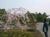 124-2425_IMG.JPG