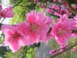 124-2434_IMG.JPG