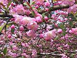 124-2440_IMG.JPG