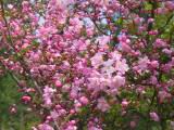 124-2442_IMG.JPG