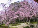 124-2463_IMG.JPG