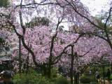 124-2468_IMG.JPG