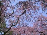 124-2479_IMG.JPG