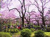 124-2485_IMG.JPG