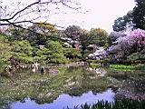 124-2489_IMG.JPG