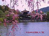 124-2494_IMG.JPG