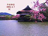 124-2495_IMG.JPG