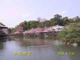 125-2514_IMG.JPG