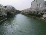 125-2520_IMG.JPG