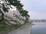 125-2534_IMG.JPG