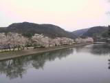 125-2535_IMG.JPG