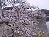 125-2537_IMG.JPG