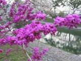 125-2539_IMG.JPG