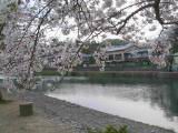 125-2542_IMG.JPG
