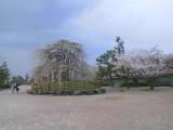 125-2543_IMG.JPG