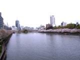 125-2555_IMG.JPG