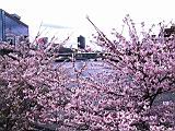 125-2572_IMG.JPG
