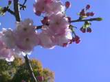 126-2663_IMG.JPG