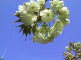 126-2665_IMG.JPG