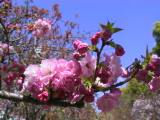 126-2673_IMG.JPG