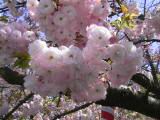 126-2692_IMG.JPG