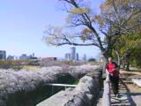 127-2724_IMG.JPG