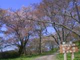 127-2740_IMG.JPG