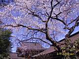 127-2761_IMG.JPG