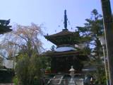 127-2795_IMG.JPG