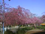 128-2803_IMG.JPG