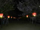 128-2808_IMG.JPG