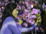 128-2825_IMG.JPG