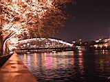 128-2829_IMG.JPG