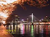 128-2845_IMG.JPG