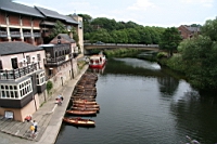 IMG_1330.JPG