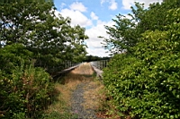IMG_1352.JPG