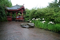 IMG_1381.JPG