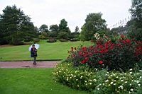 IMG_1383.JPG