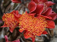 IMG_1384.JPG