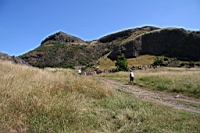 IMG_1443.JPG