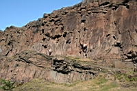 IMG_1454.JPG