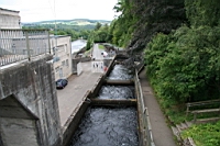 IMG_1485.JPG